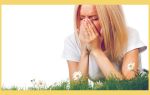 Симптомы и лечение аллергического насморка (ринита)